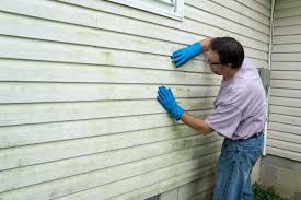 Best Siding Painting and Refinishing  in Shannon, GA